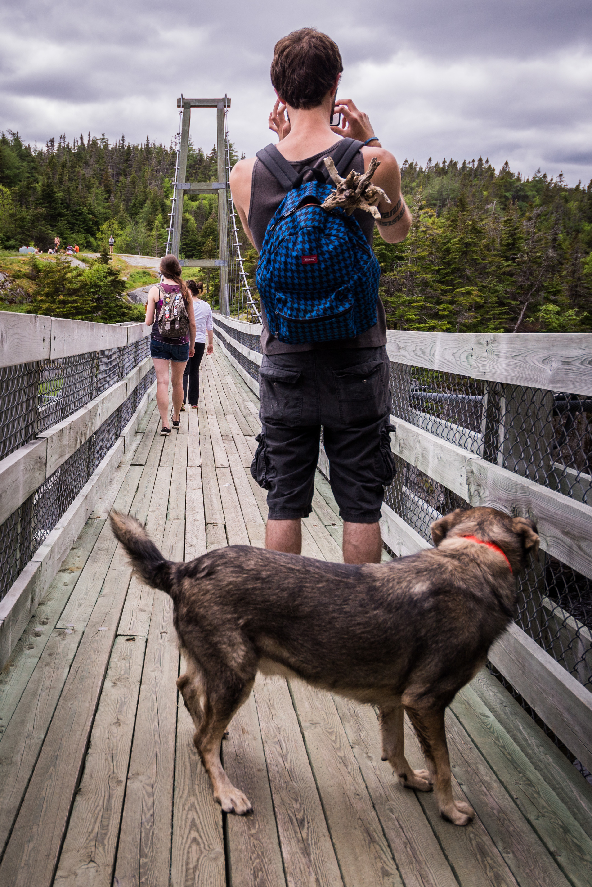 The East Coast Trail Association rebuilt the suspension bridge in the late 90s. Bigg-E didn't know what to make of it.