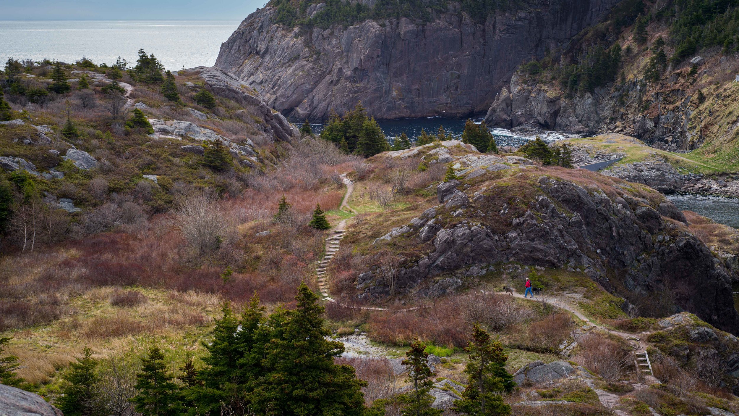 A woman has the right idea, walking her dogs on the trail around 8am.