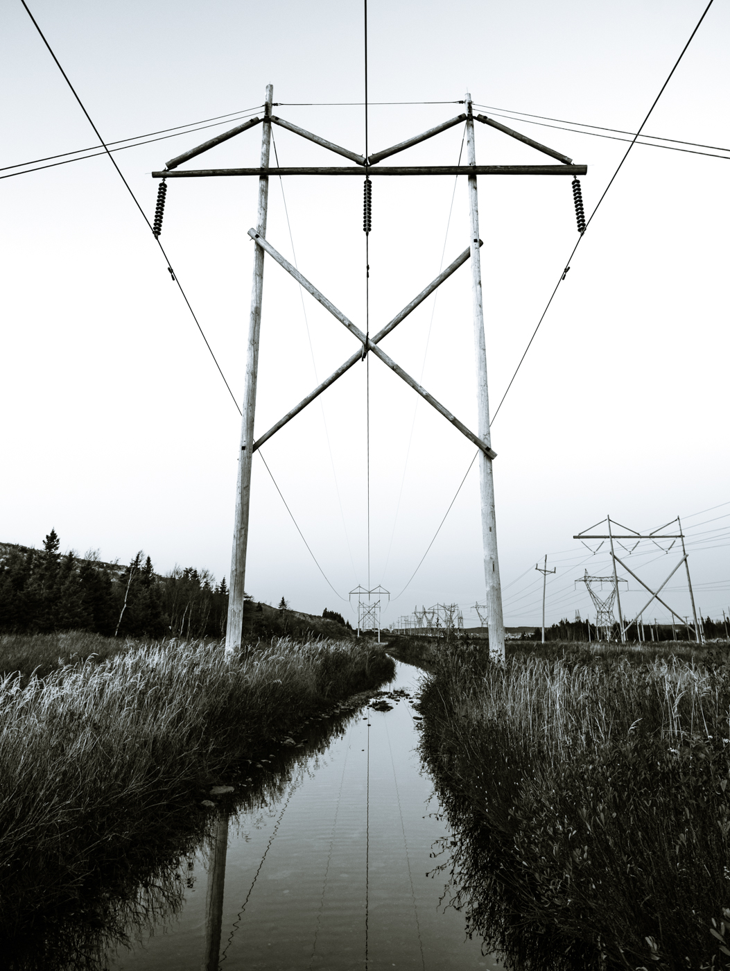 Nov 2 - Powerlines-4.jpg