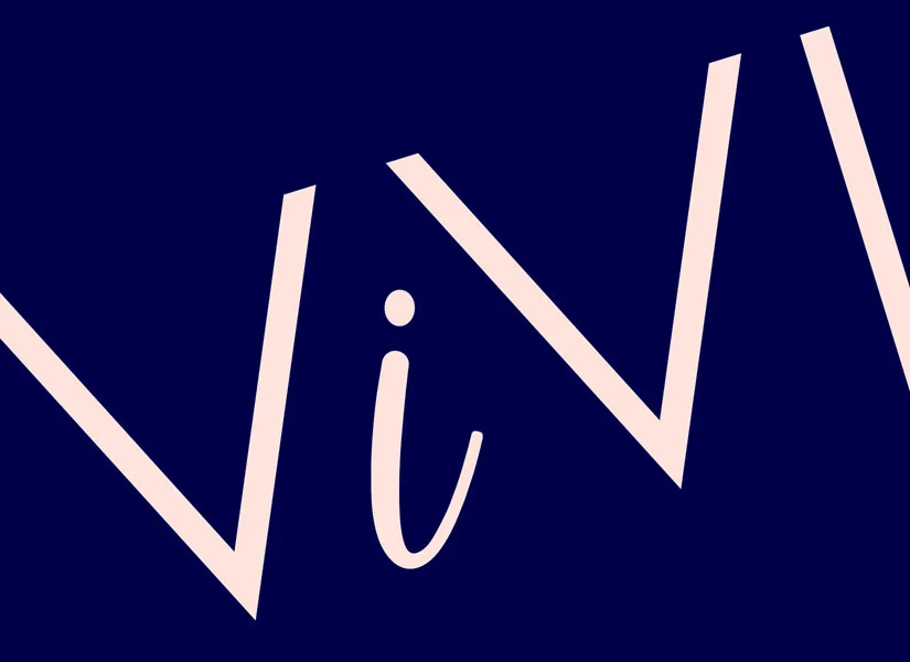 ViViBranding_LogoonNavy.jpg