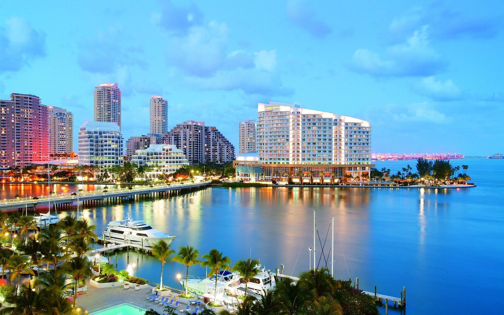 Miami Skyline at Night