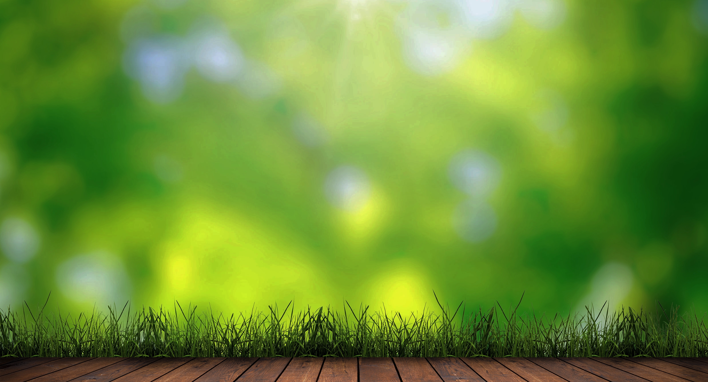 Envirotrol Pest Solutions
