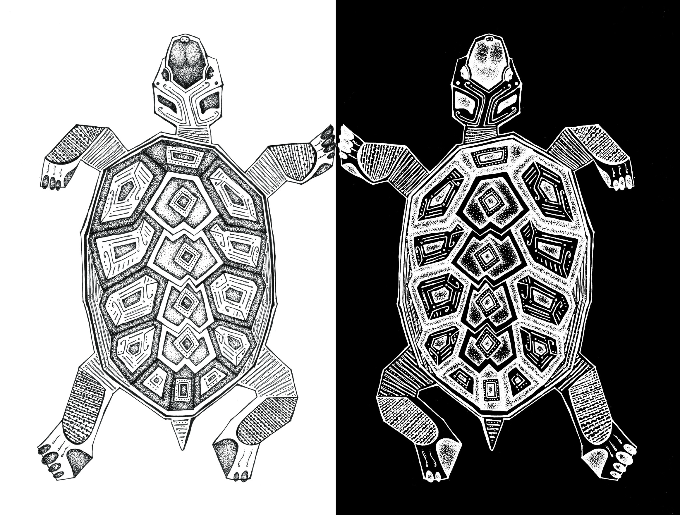 turtles_b&w.jpg