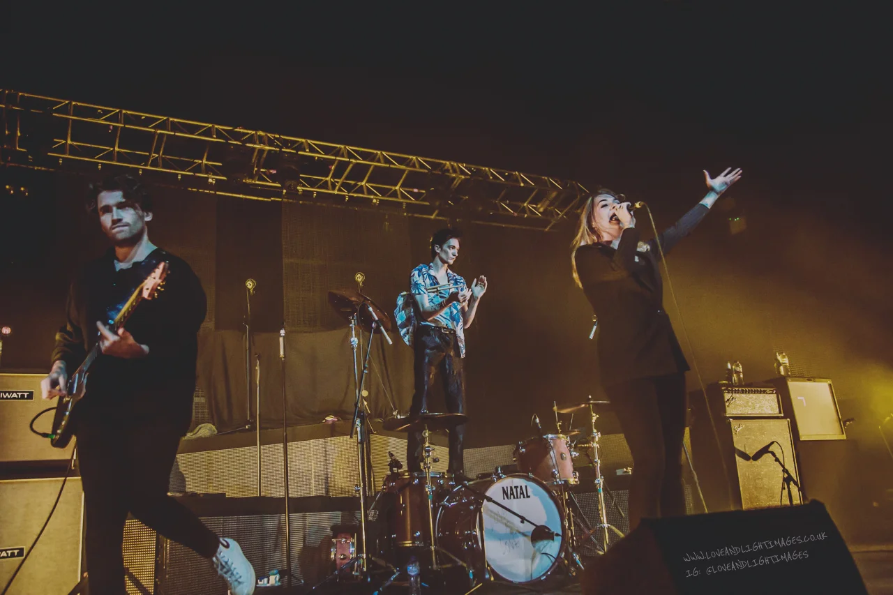 Marmozets-1.jpg