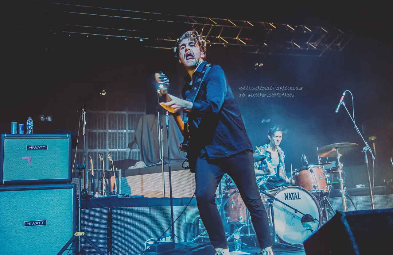 Marmozets-2.jpg
