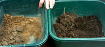 Soil on the right has a high organic content, evidenced by its dark color.