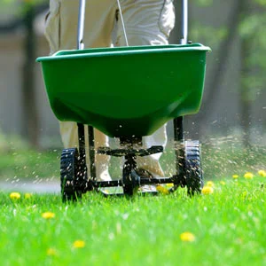 Your Lawn on Drugs.