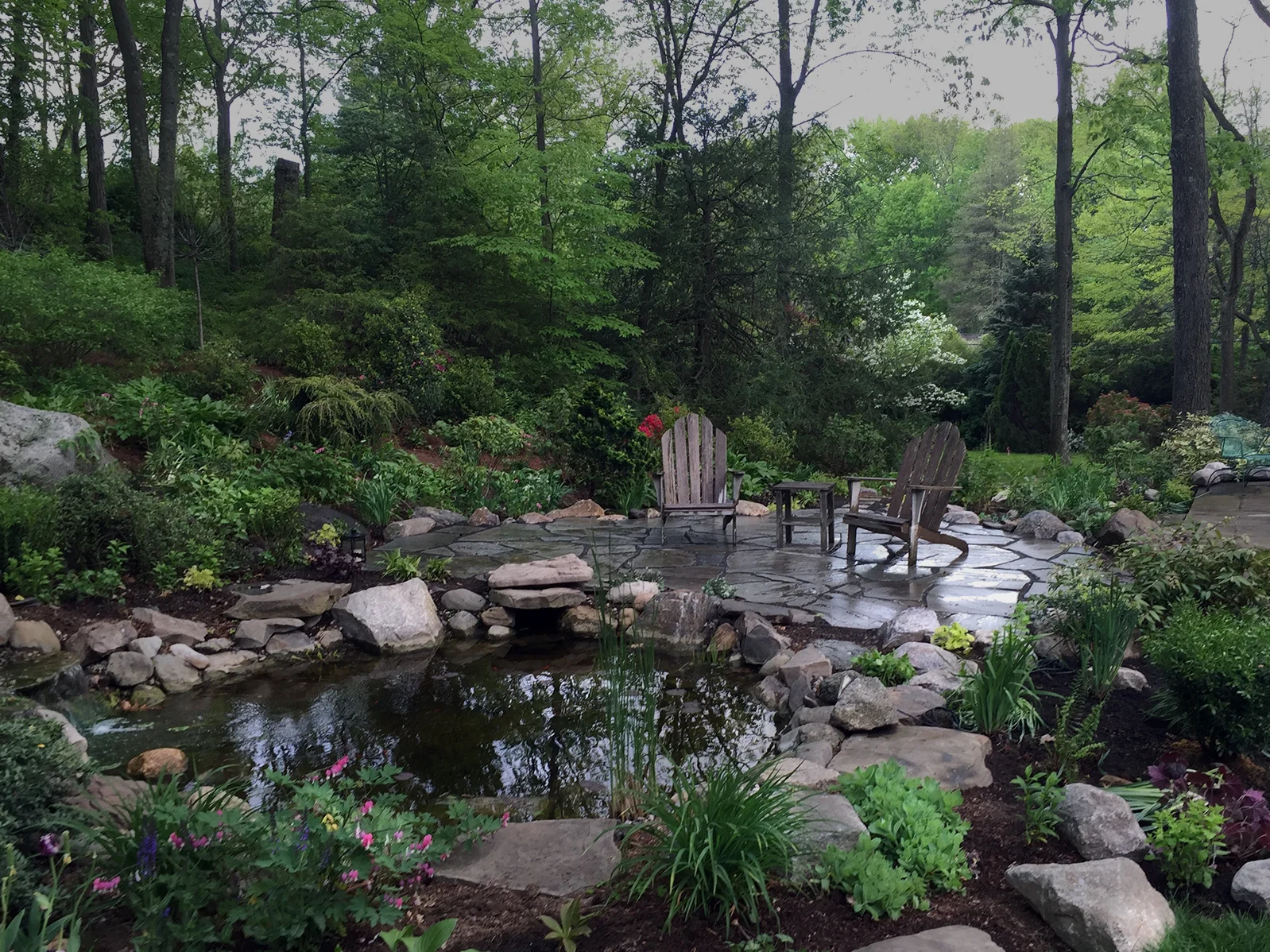 9-Native-plants-and-pond copy.jpg