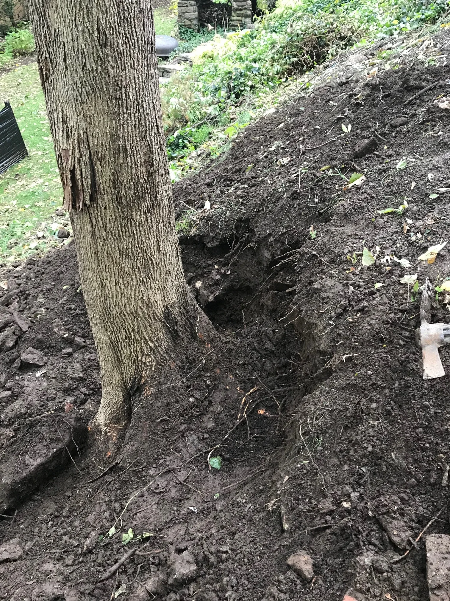 backyard renovation contractors on The Lazy Gardener