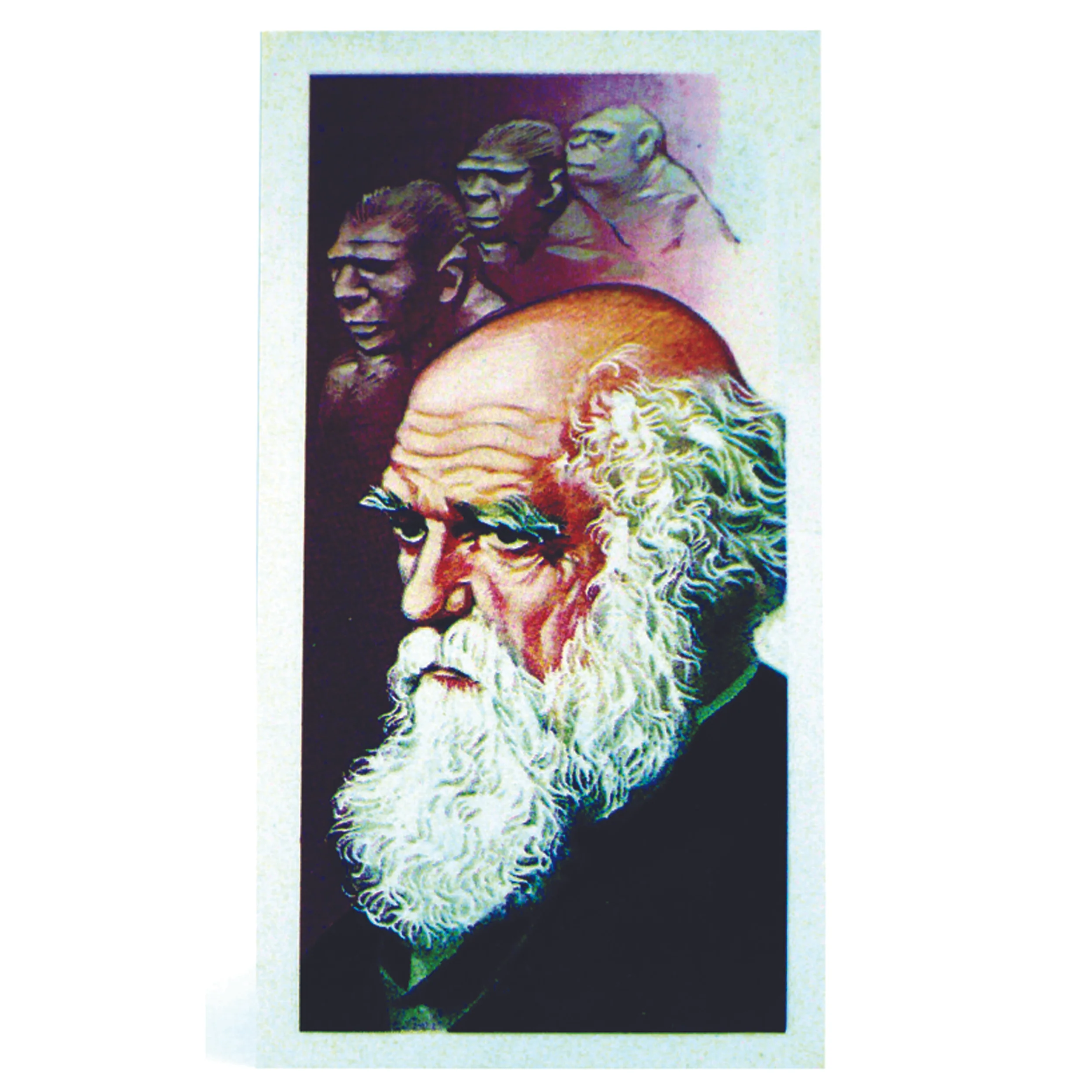 Charles Darwin 1970's Cigarette Card