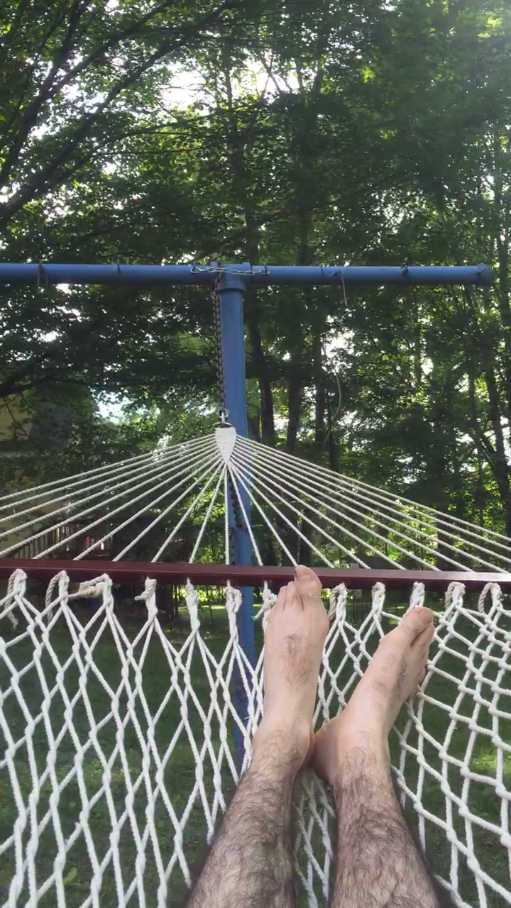 Hammock before the web