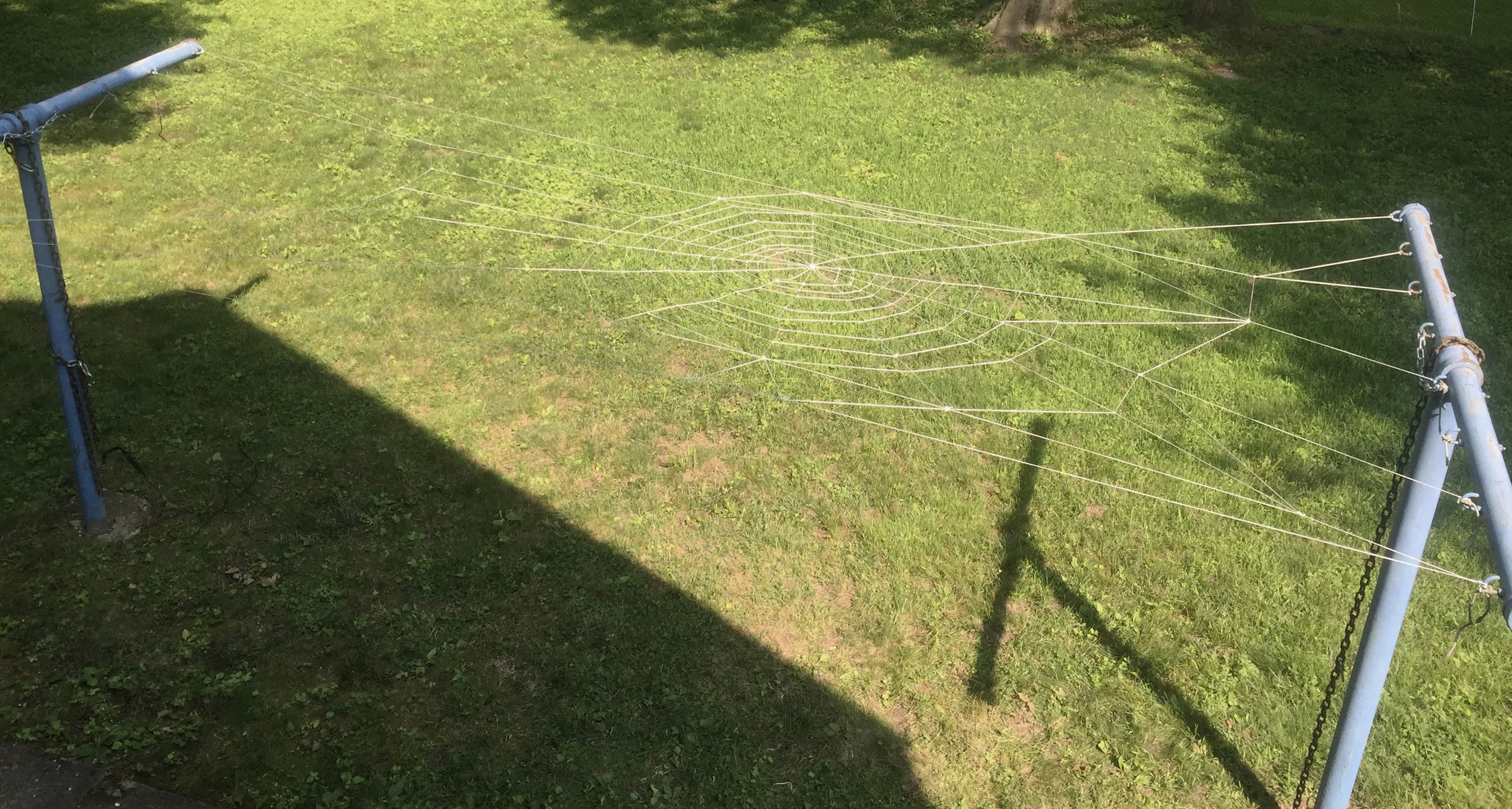 Ahhh! Giant spiders were here! Ahhh!