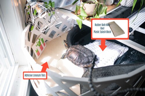 My Pet Turtle - Part 5 - 100 Gallon Enclosure — evan t perry