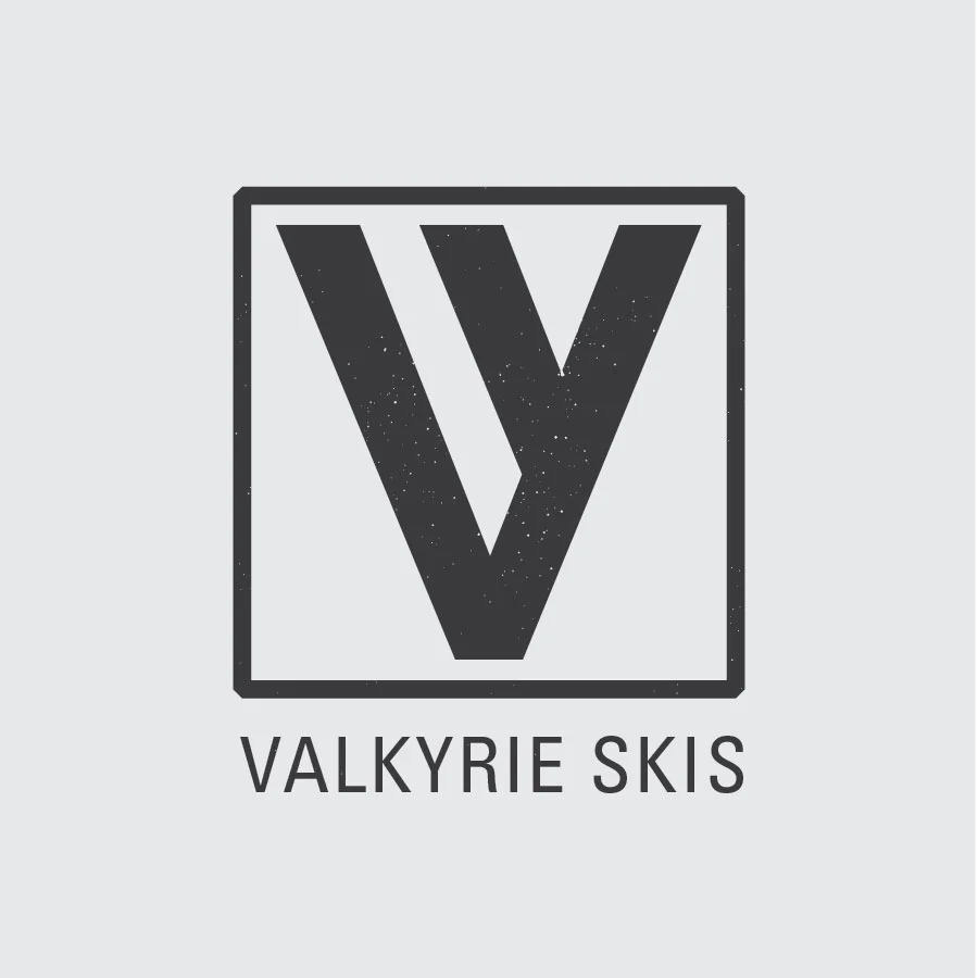  Norwegian ski brand logo concept 