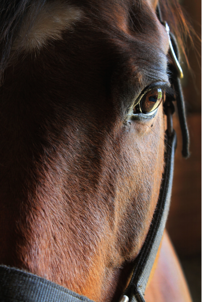 Screen Shot 2016-02-05 at 5.53.44 PM.png