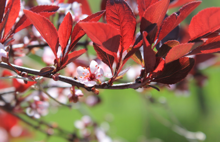 Screen Shot 2016-02-05 at 5.53.40 PM.png