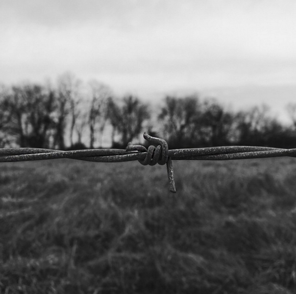 Screen Shot 2016-09-21 at 4.44.42 PM.png