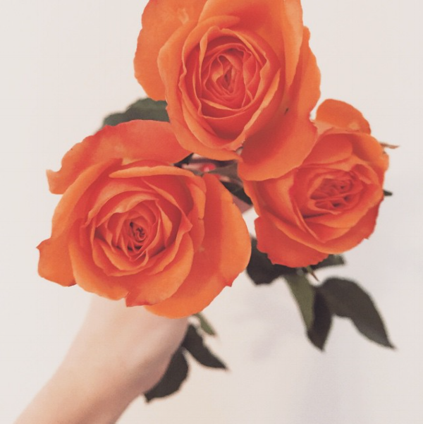 Screen Shot 2017-02-09 at 11.45.50 AM.png