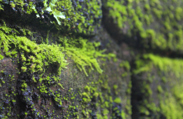 Screen Shot 2016-02-05 at 5.53.31 PM.png