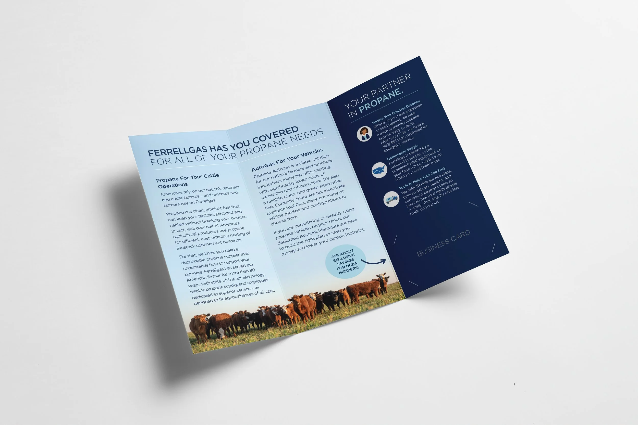 Brochure2.jpg