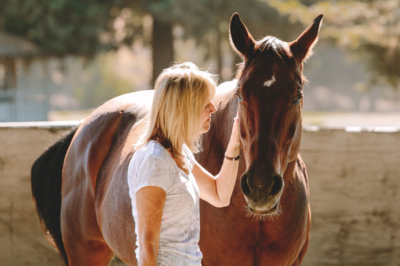 equus-12.jpg