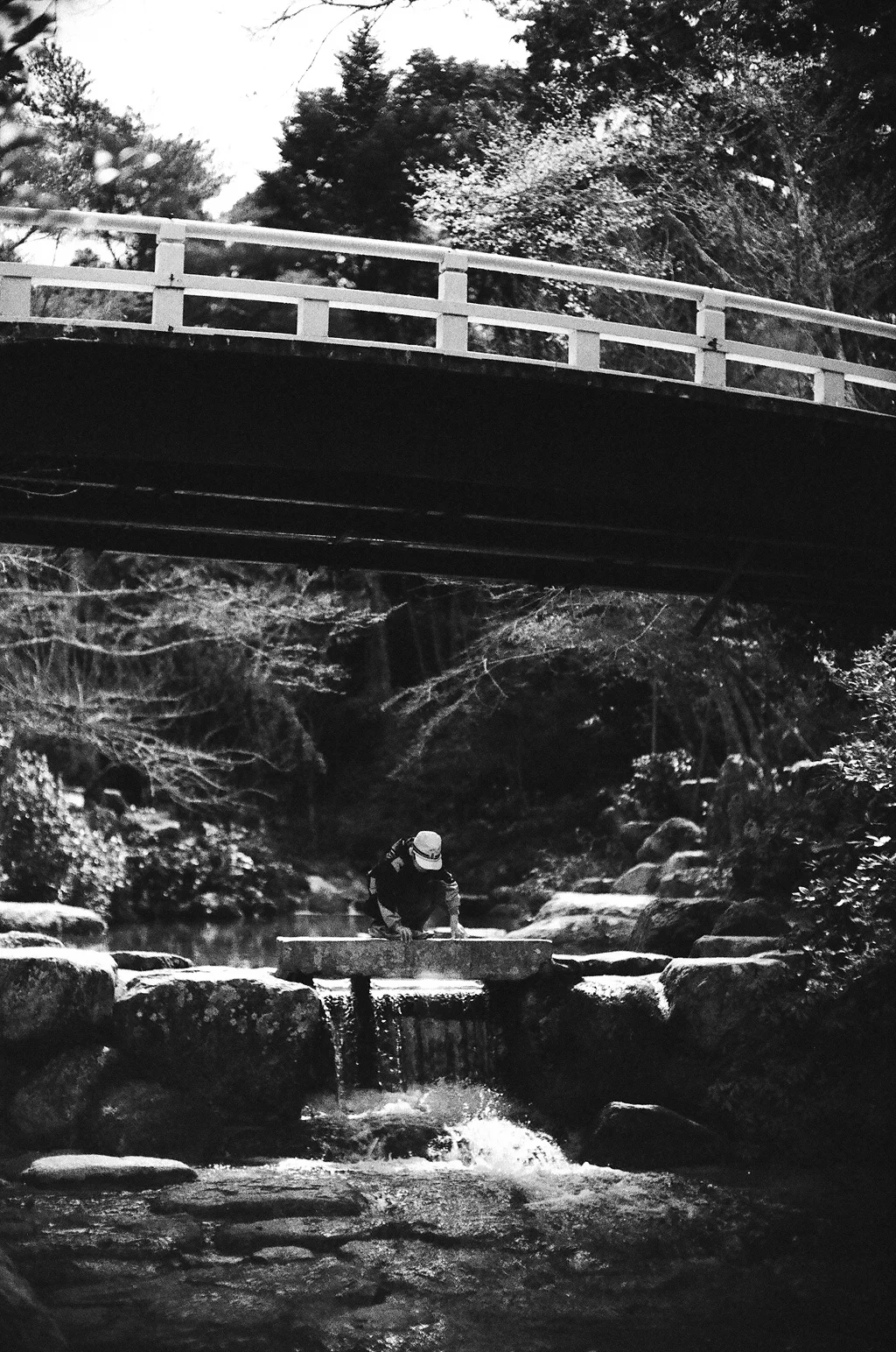 bw-1-2.jpg