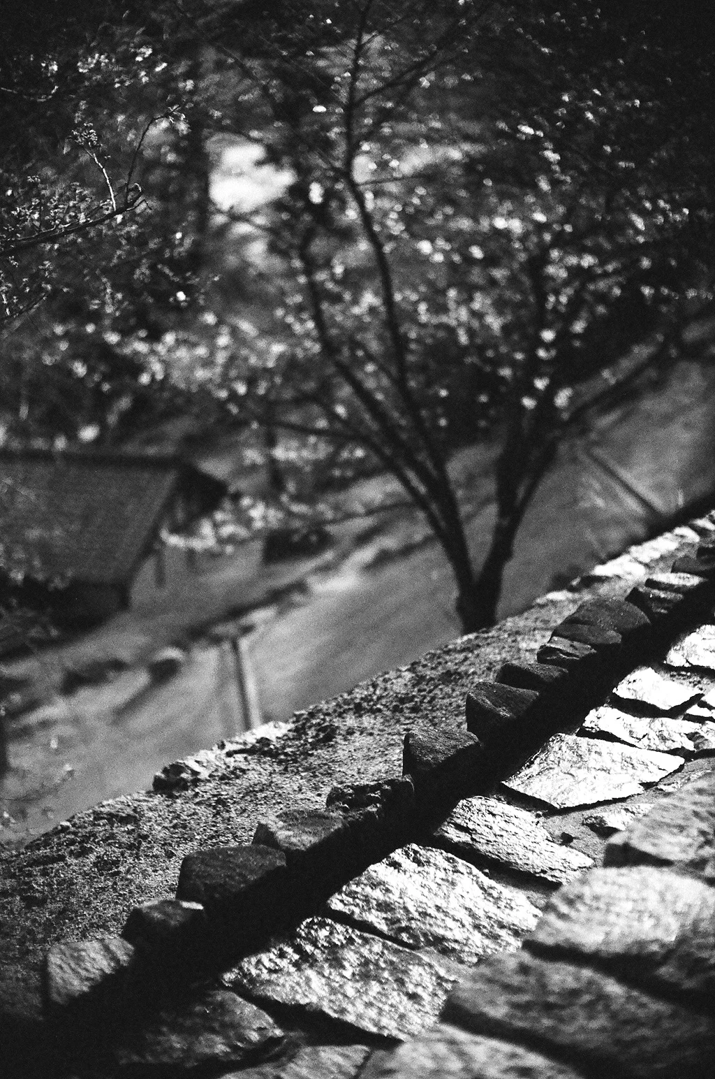 bw-2-2.jpg