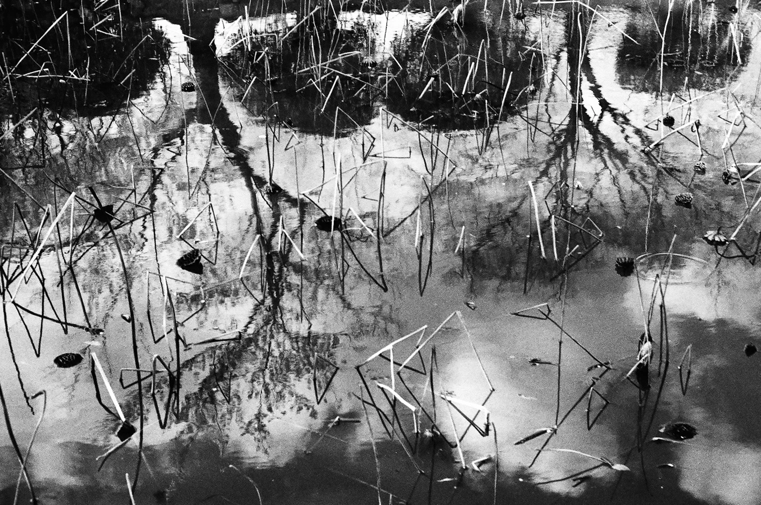 japan bw-2.jpg
