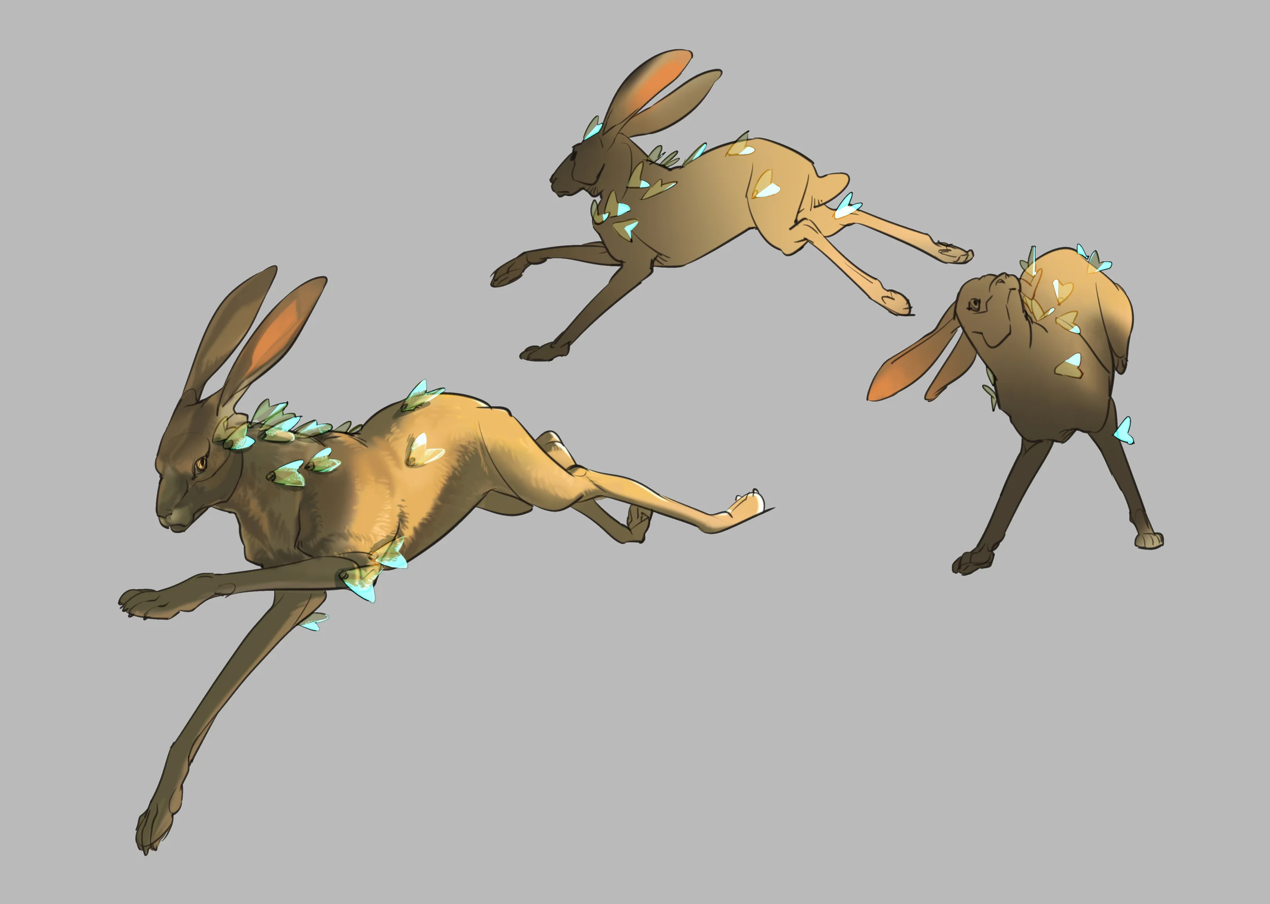 Hares