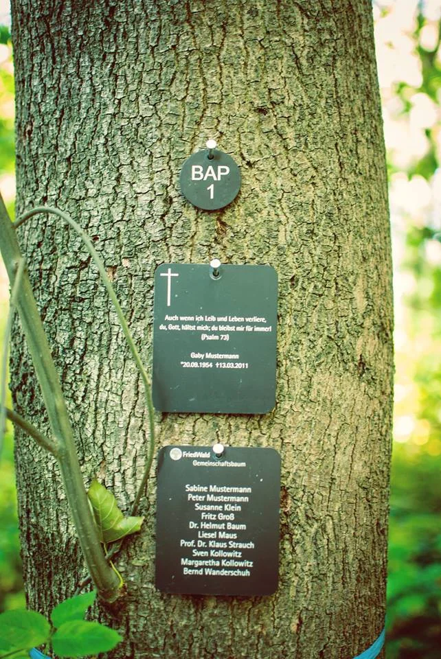 Namensschilder im Friedwald.