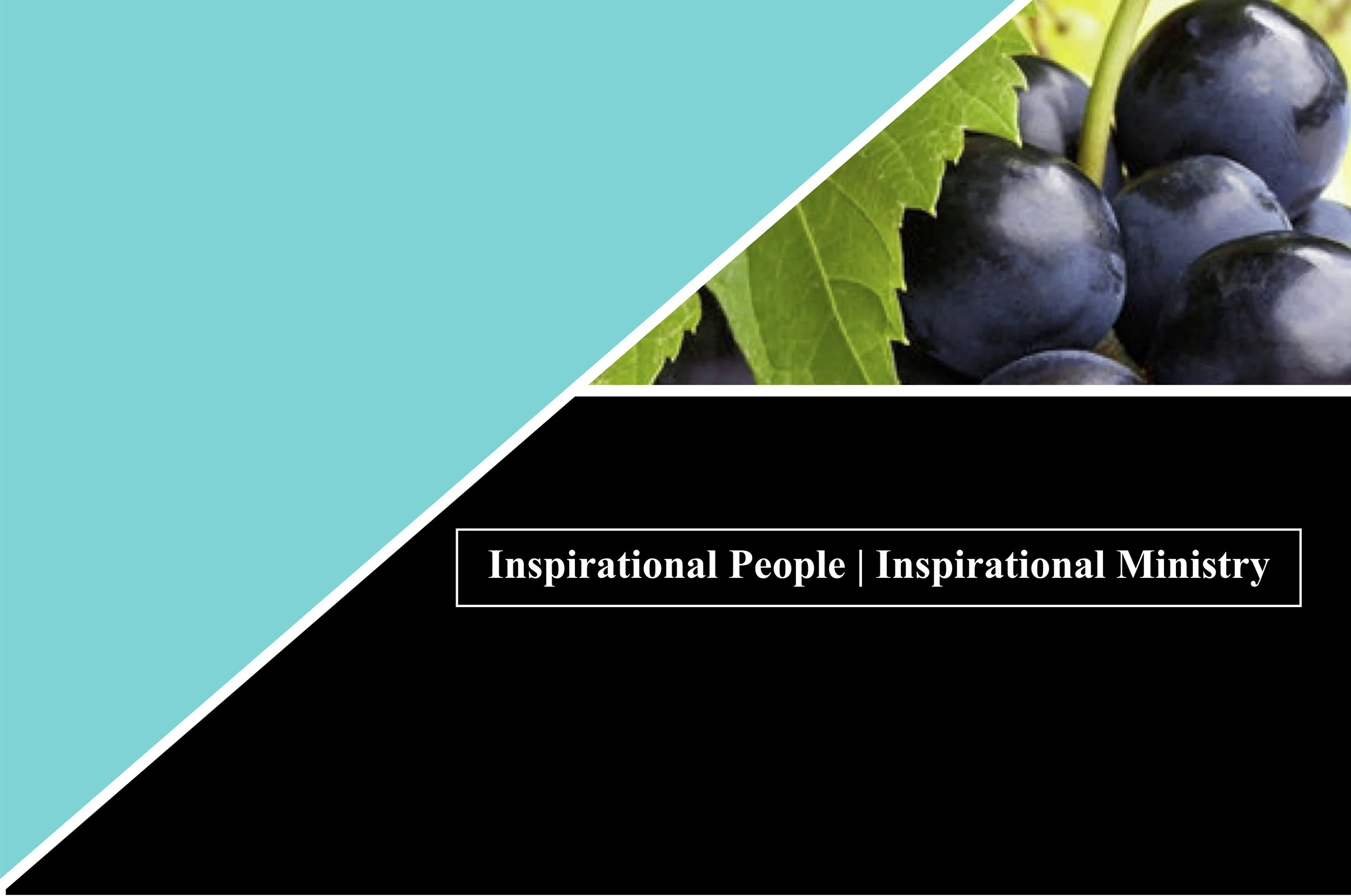 ZC FRUITS U™ JPG.jpg