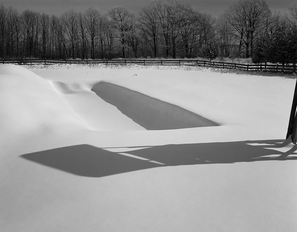 "Act I, Year 5, February #1" by Ben Altman