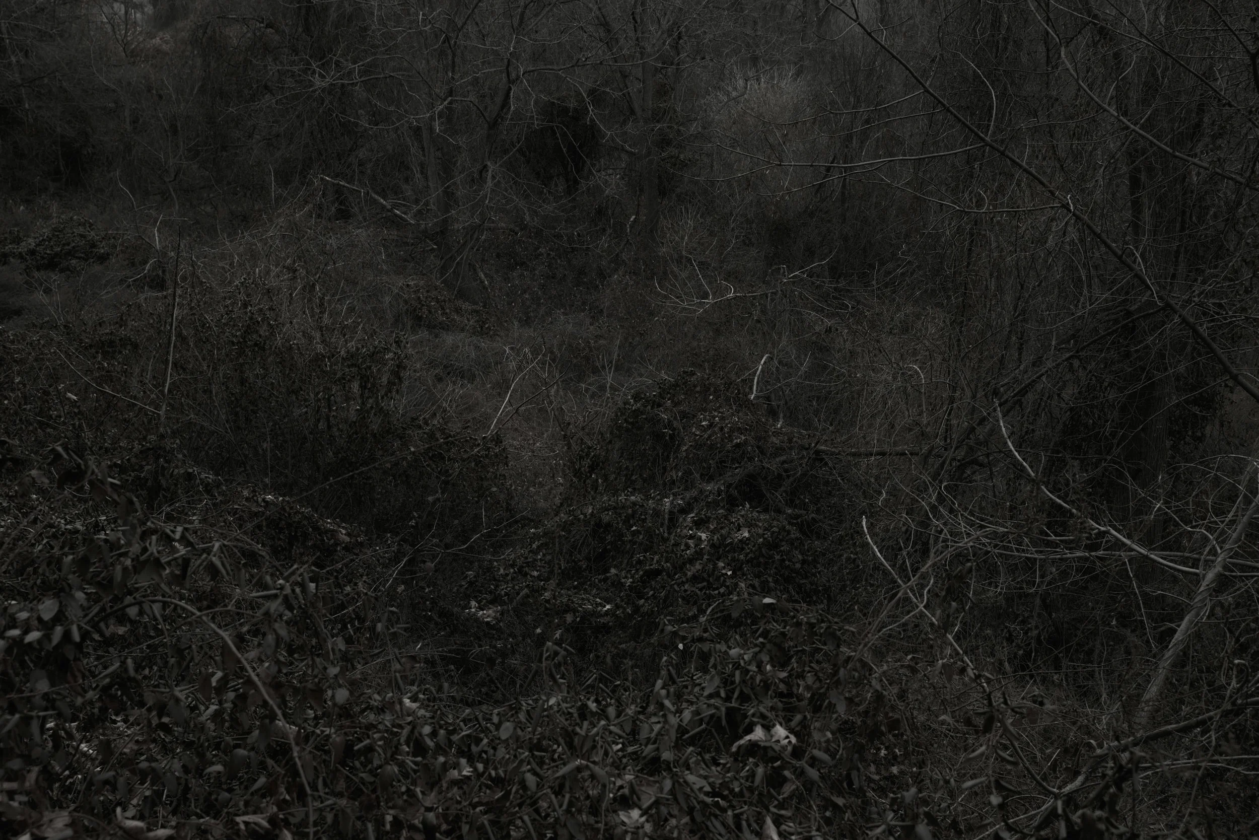 Untitled 0976