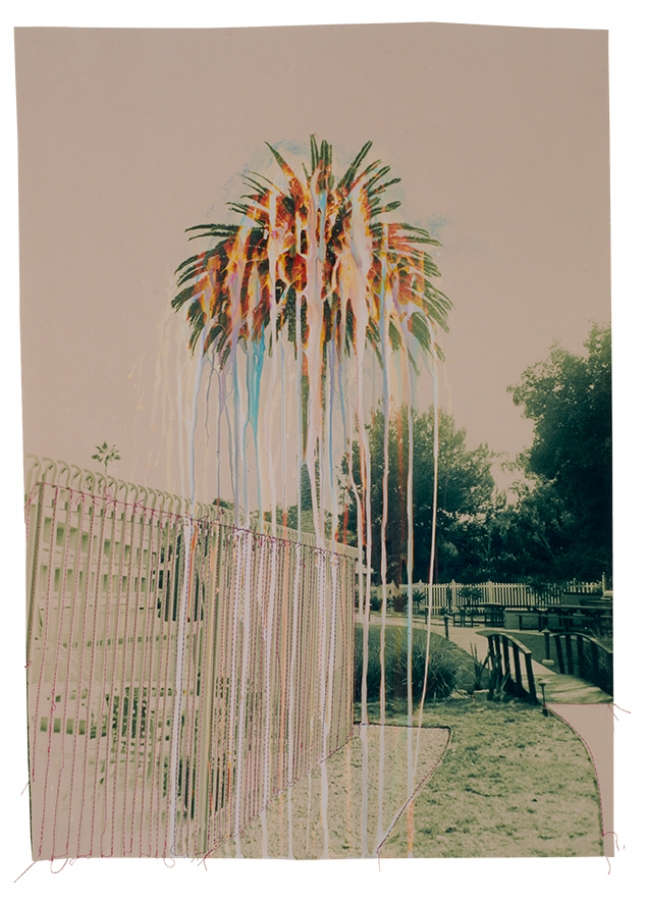 “GREEN RAINBOW PALM TREE“ BY ANDREW K. THOMPSON