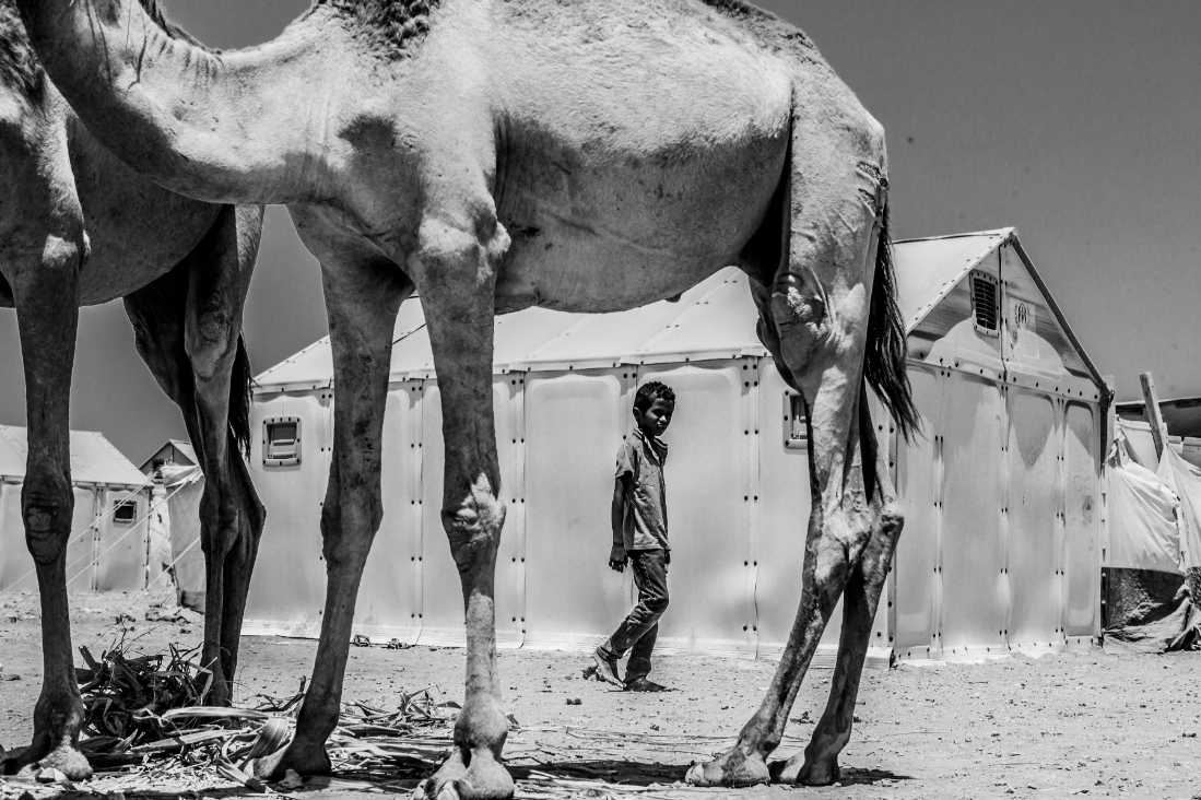“IN A CAMEL FRAMEWORK, MARKAZI REFUGEE CAMP, DJIBOUTI“ BY EDUARDO LOPEZ MORENO