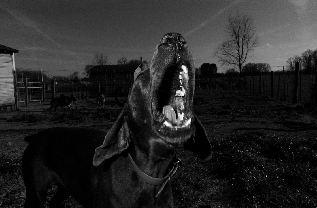 “UNTITLED“ BY JEFFERSON LANKFORD
