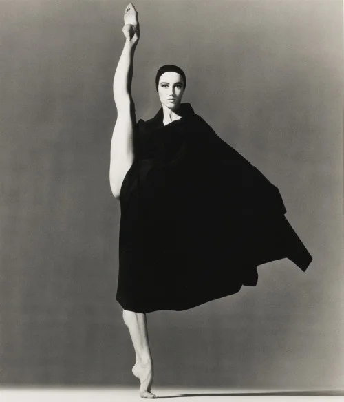 Mood | Richard Avedon, "Sylvie Guillem" (1991)