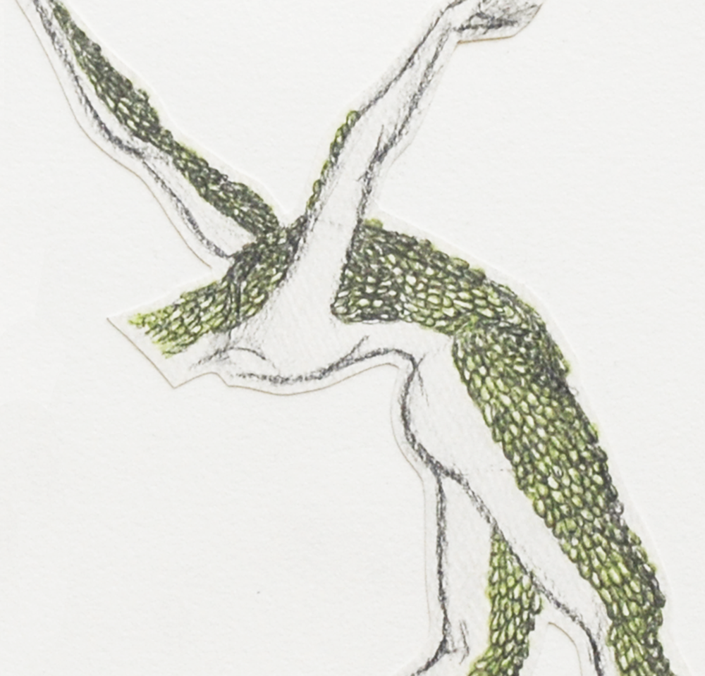 Surface Petals (2014)