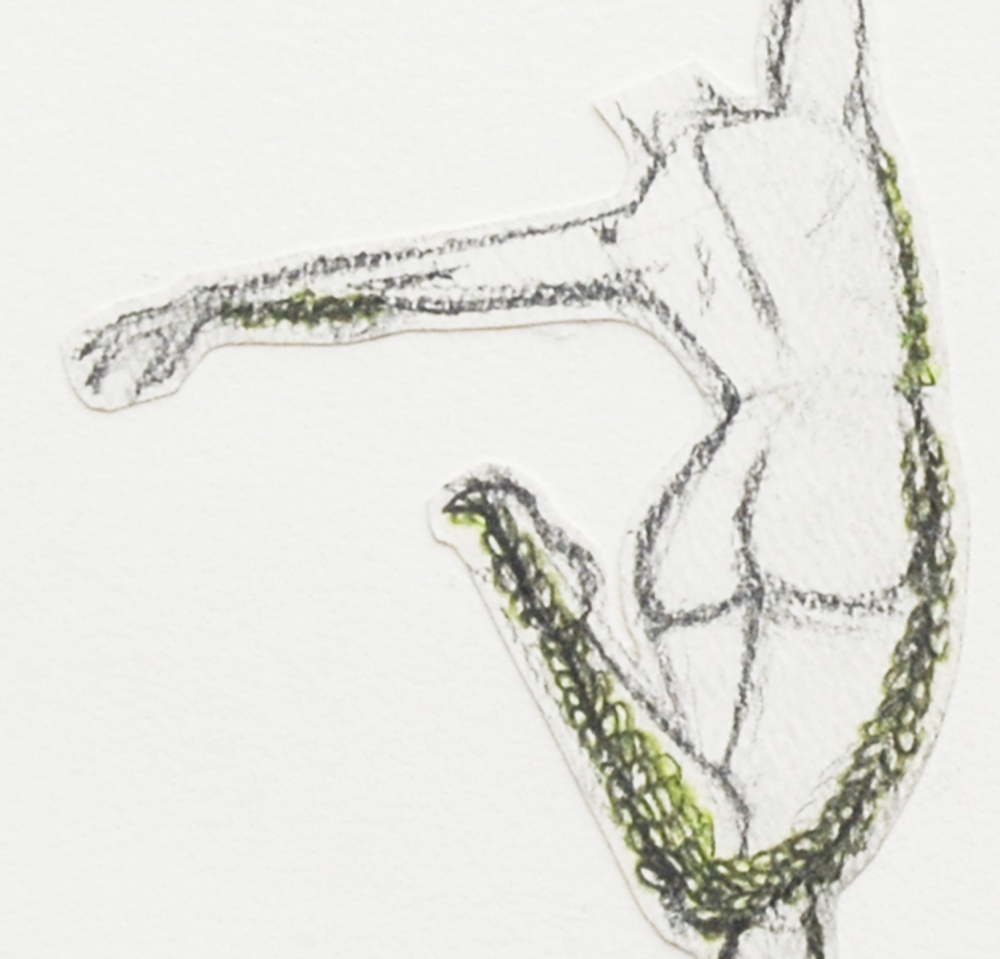 Surface Petals (2014)