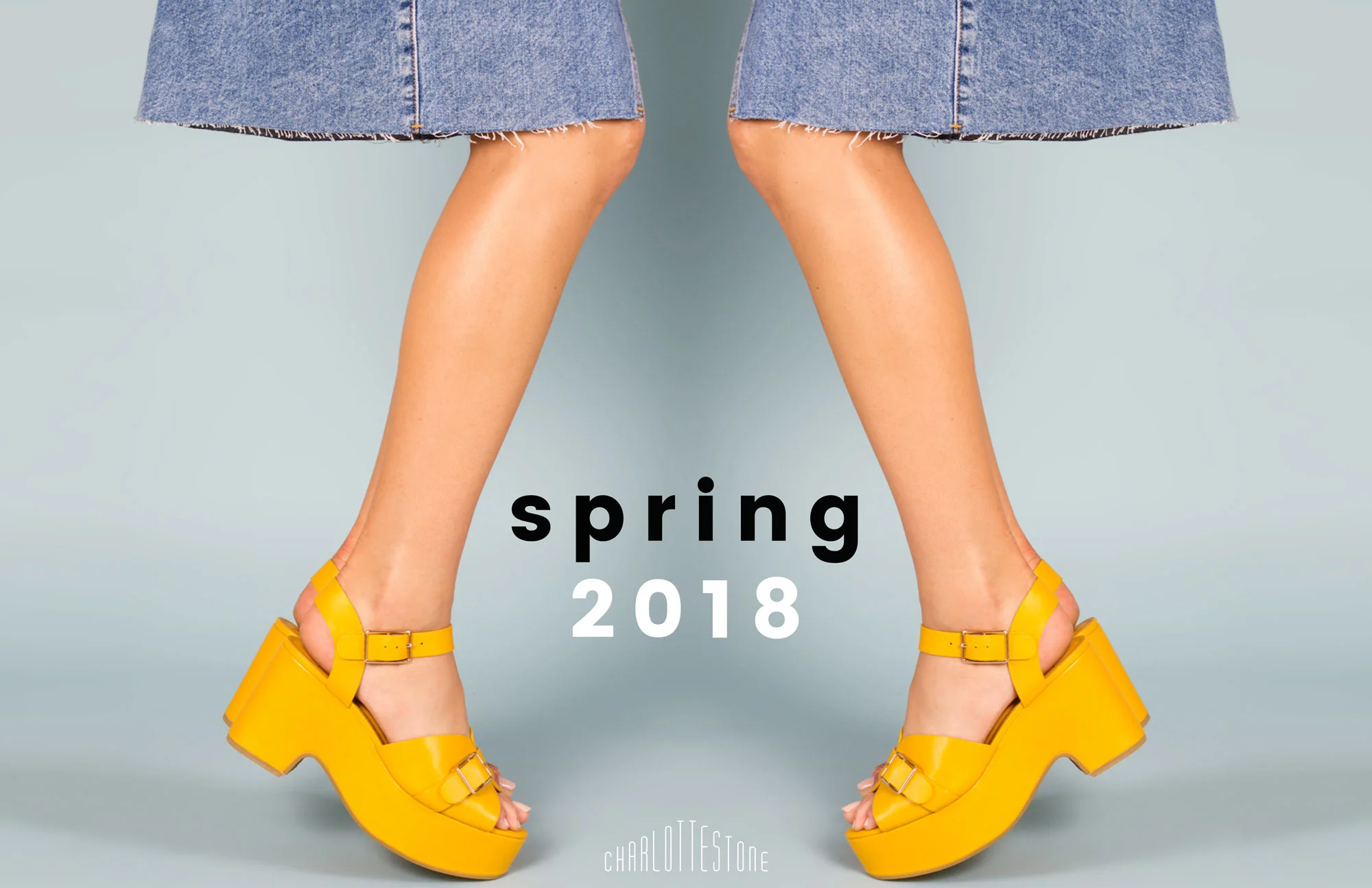 CHARLOTTE STONE SHOES | Marketing Collateral (Lookbook Cover)