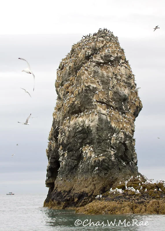 Thumb_Island_KBay_t_100625_154654_00001.jpg