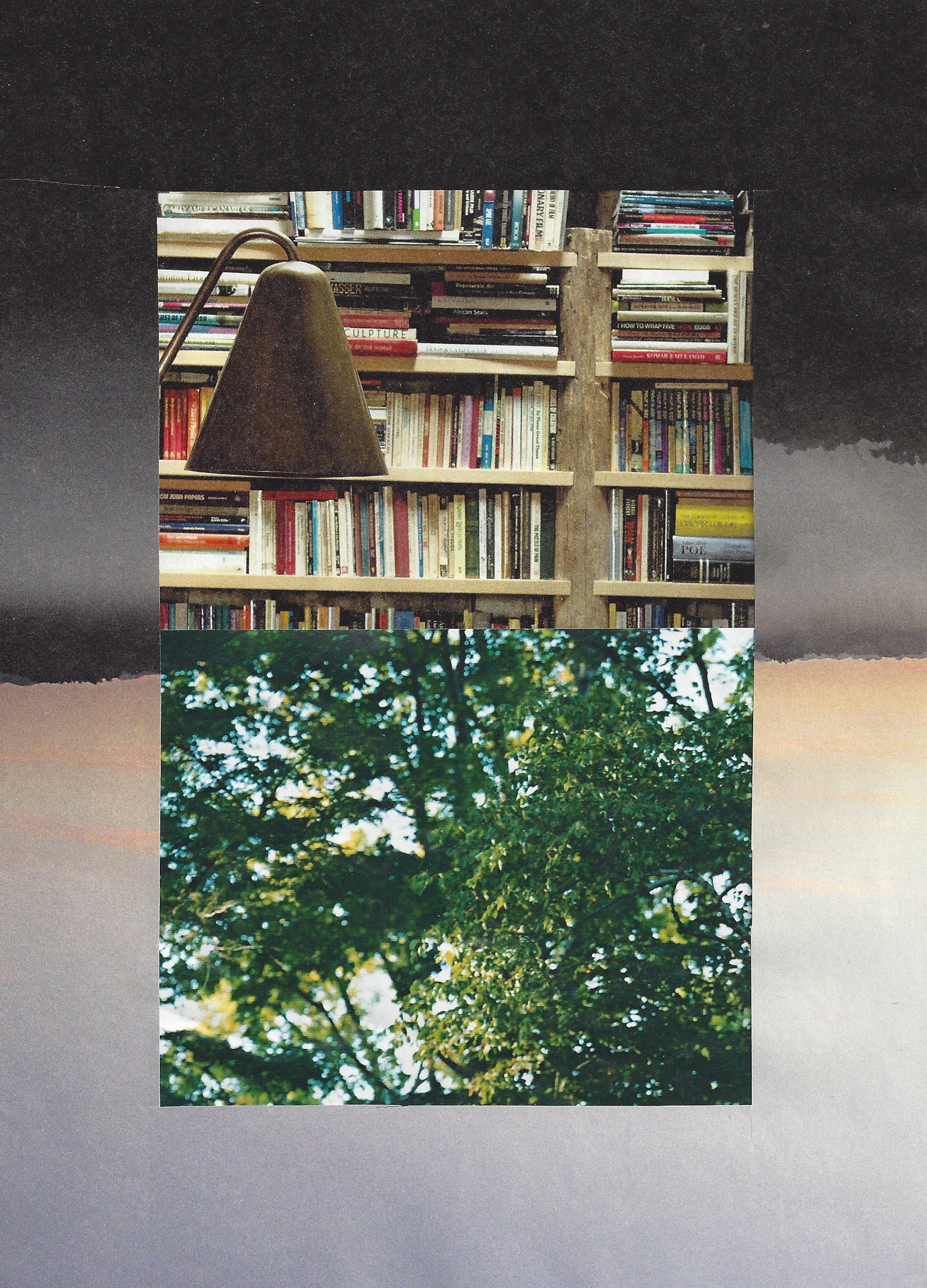 Scan 12.jpeg