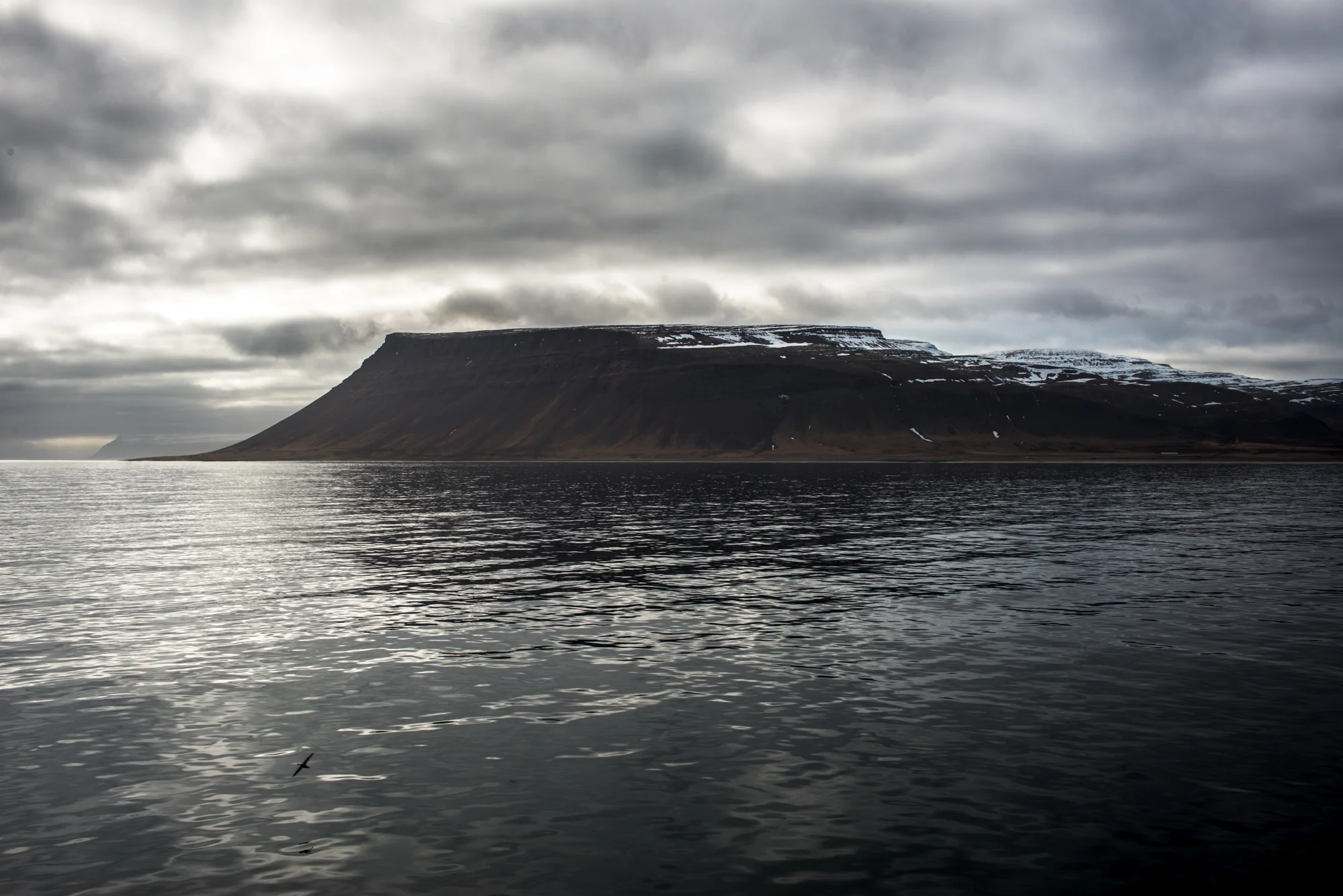 DSC_0919.jpg