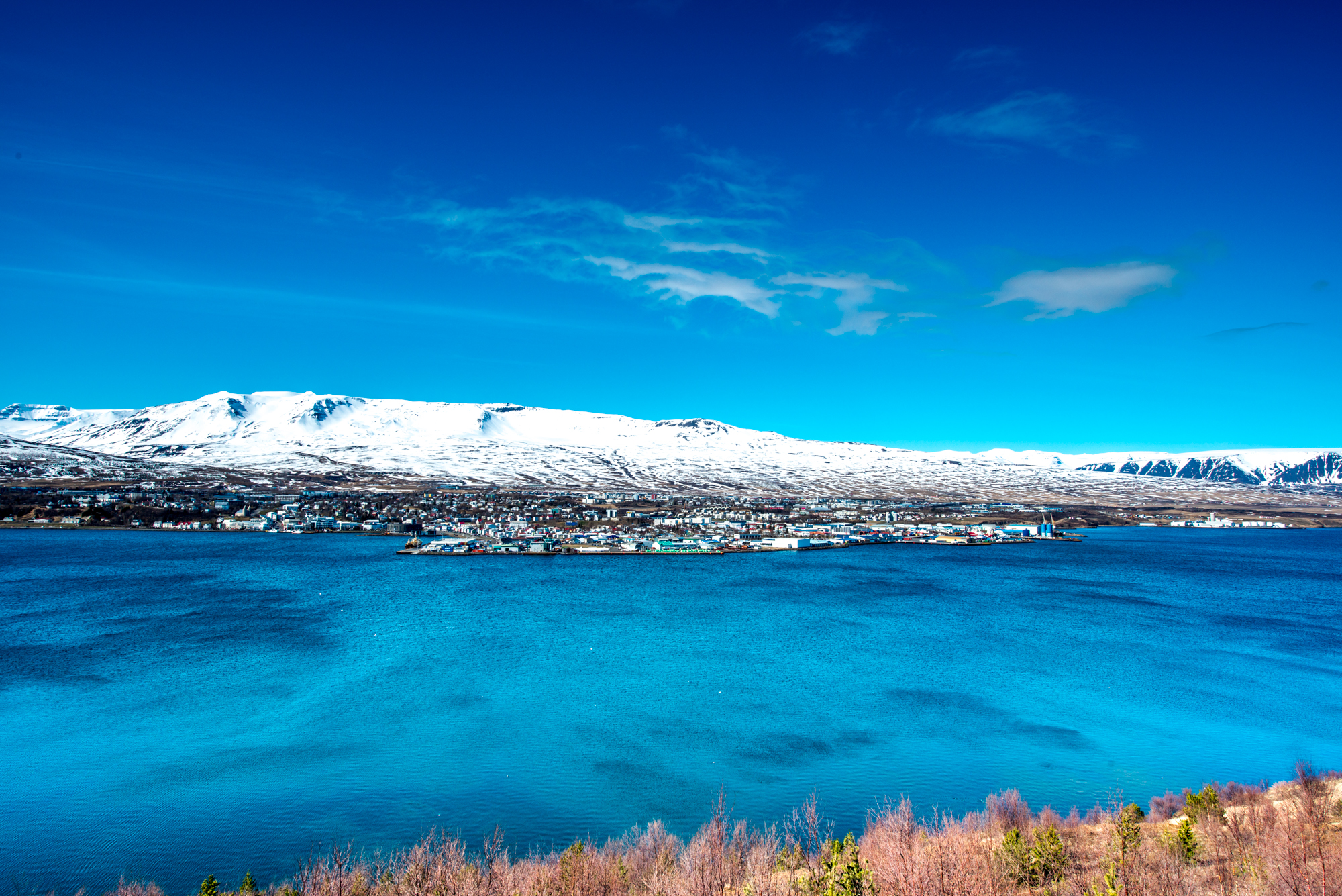 DSC_1067.jpg