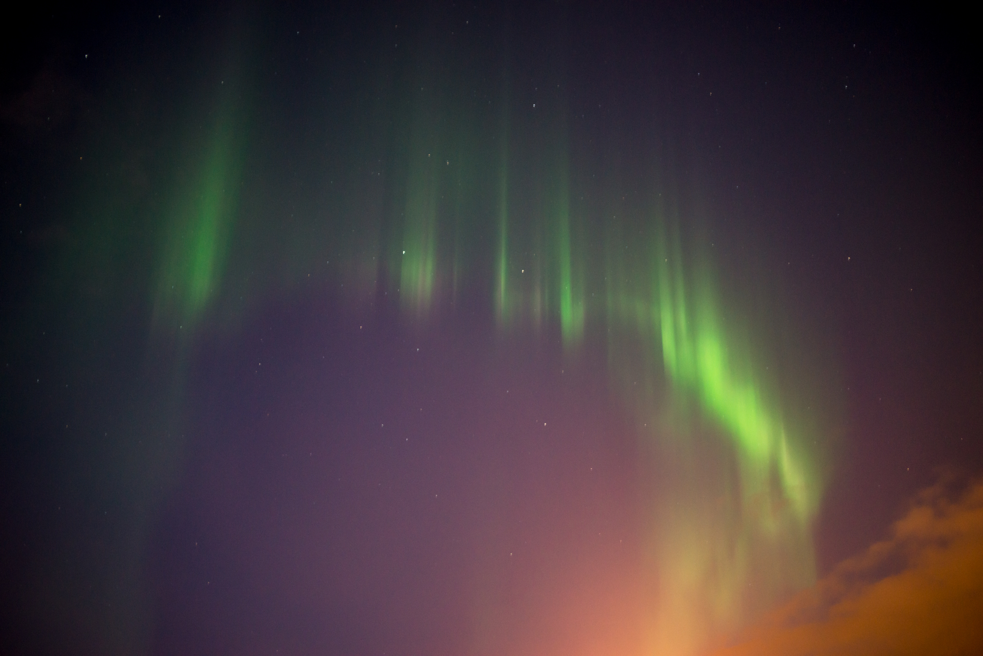 DSC_1649.jpg