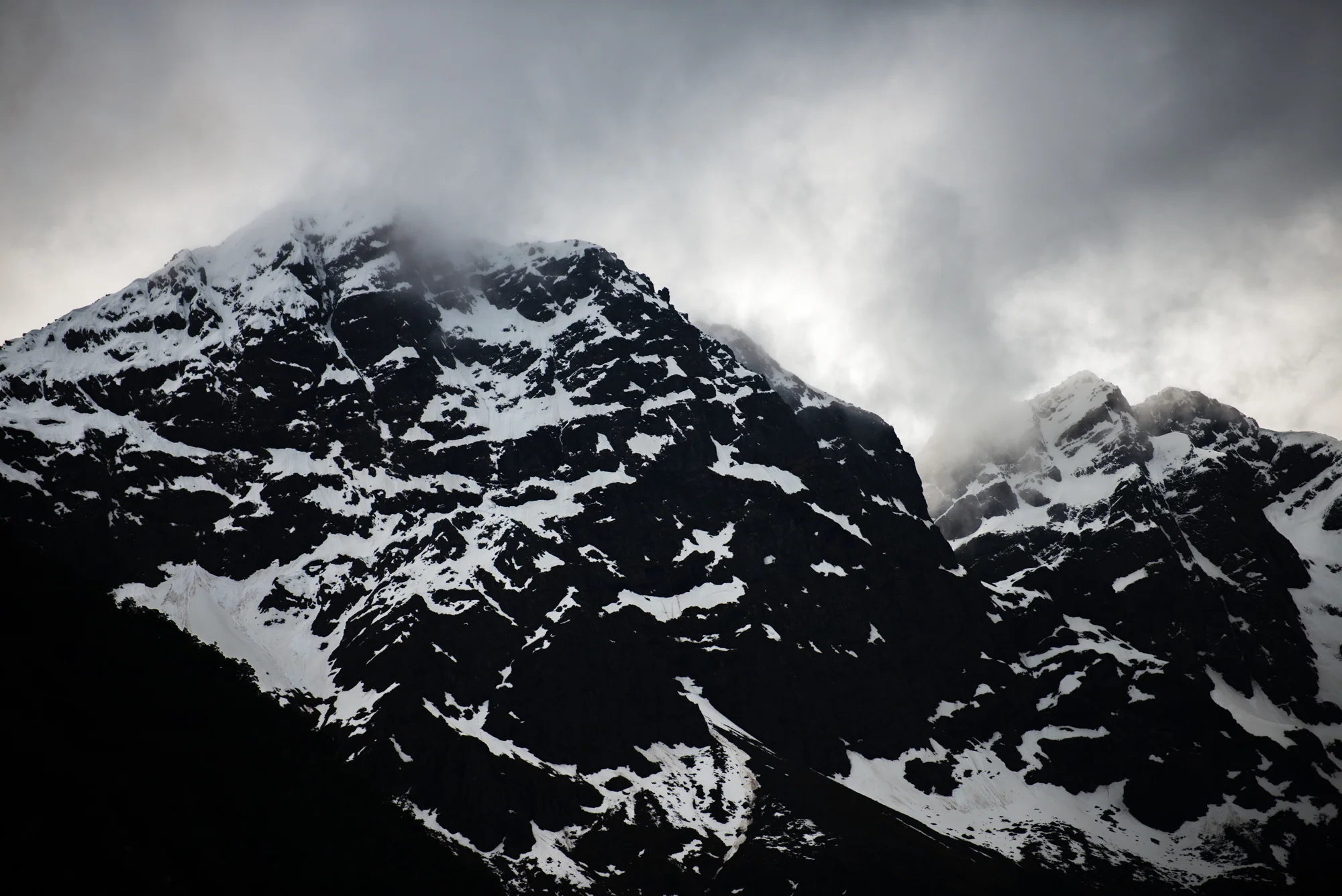 DSC_4510.jpg