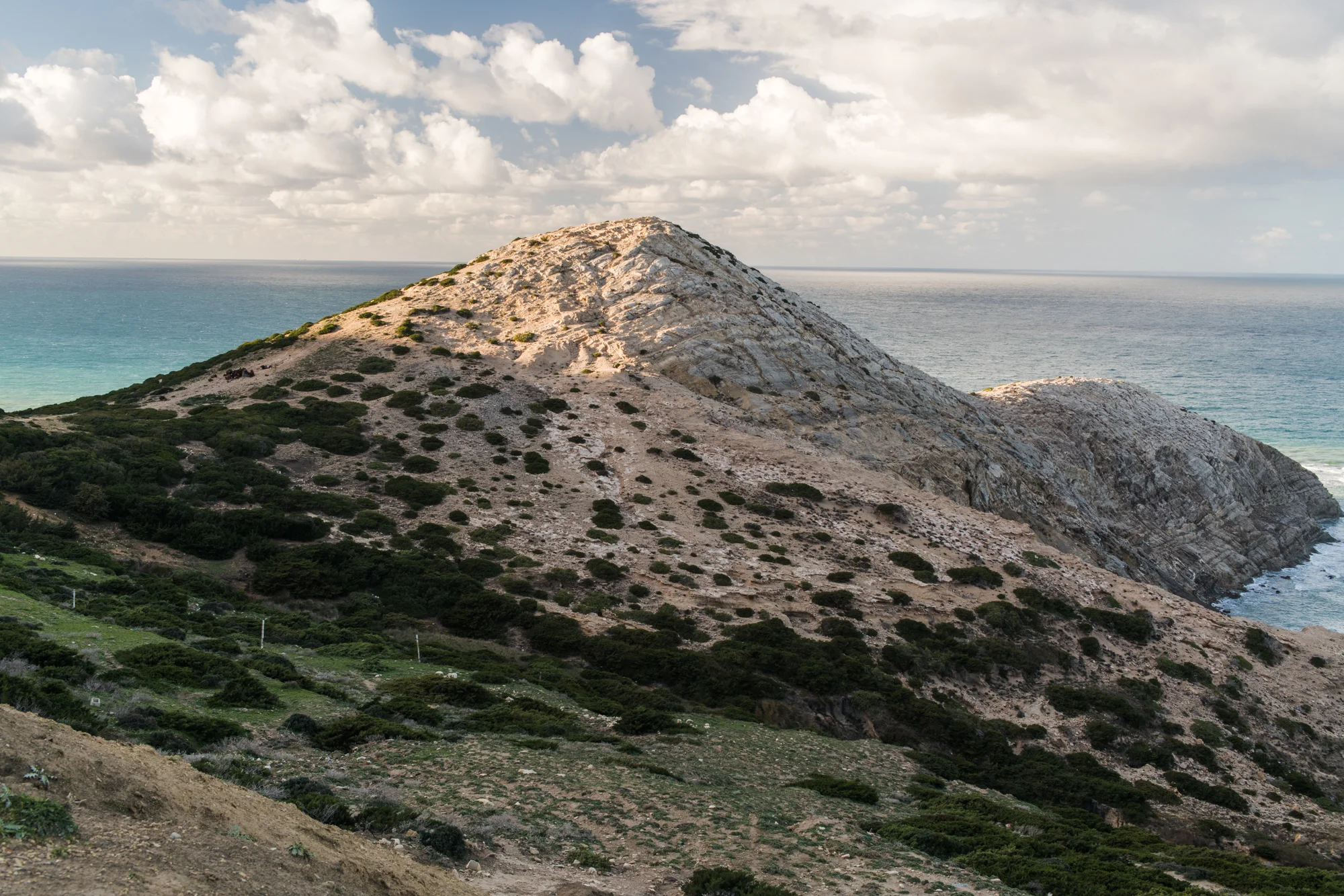 DSC_5862.jpg