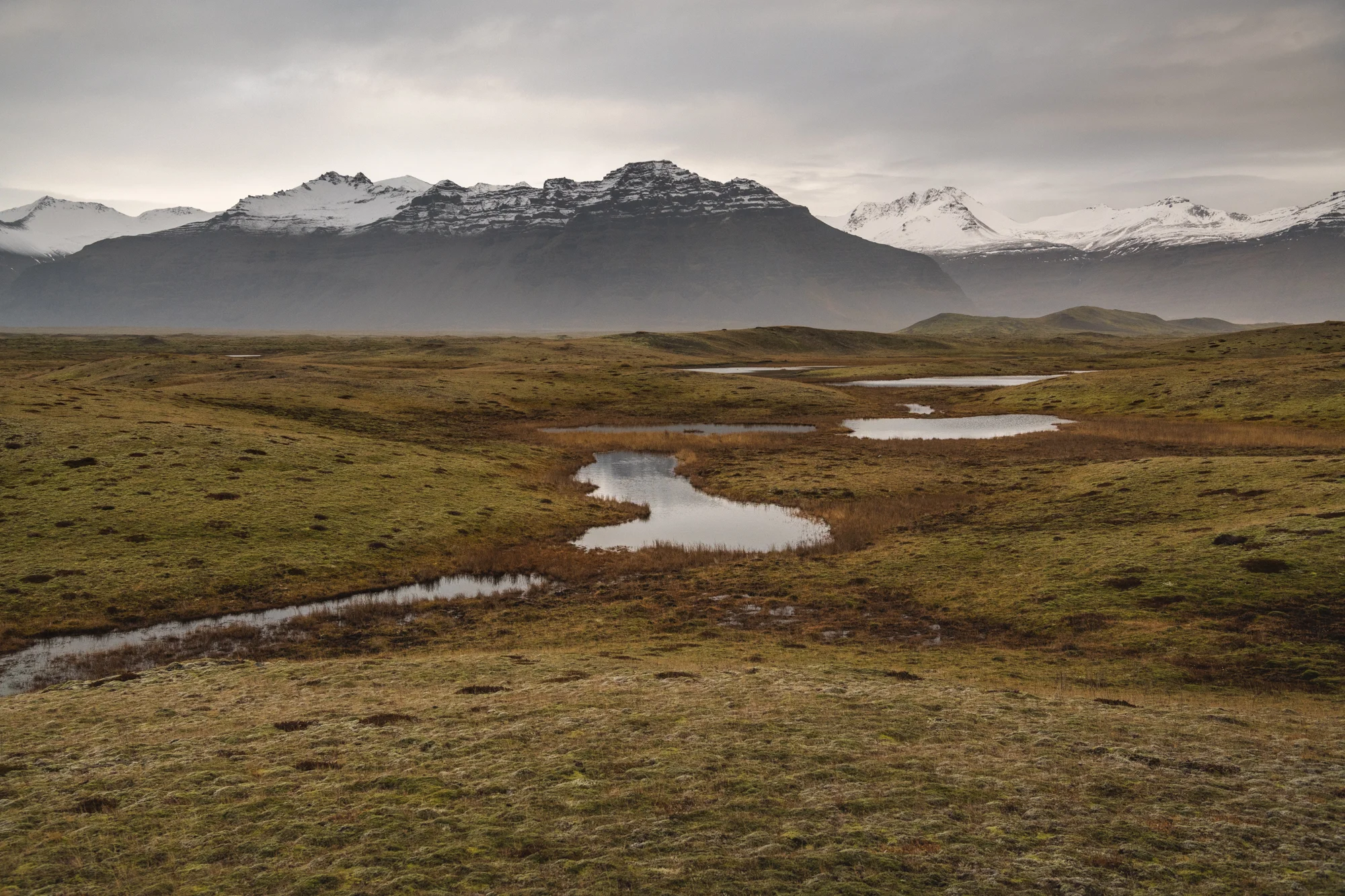 DSC_1332.jpg