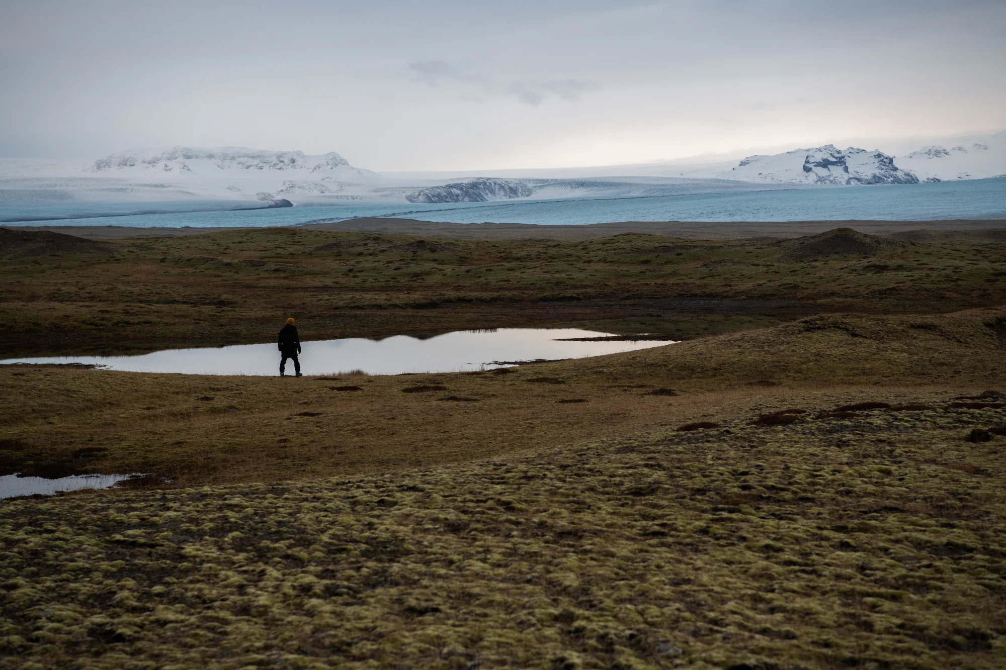 DSC_1345.jpg