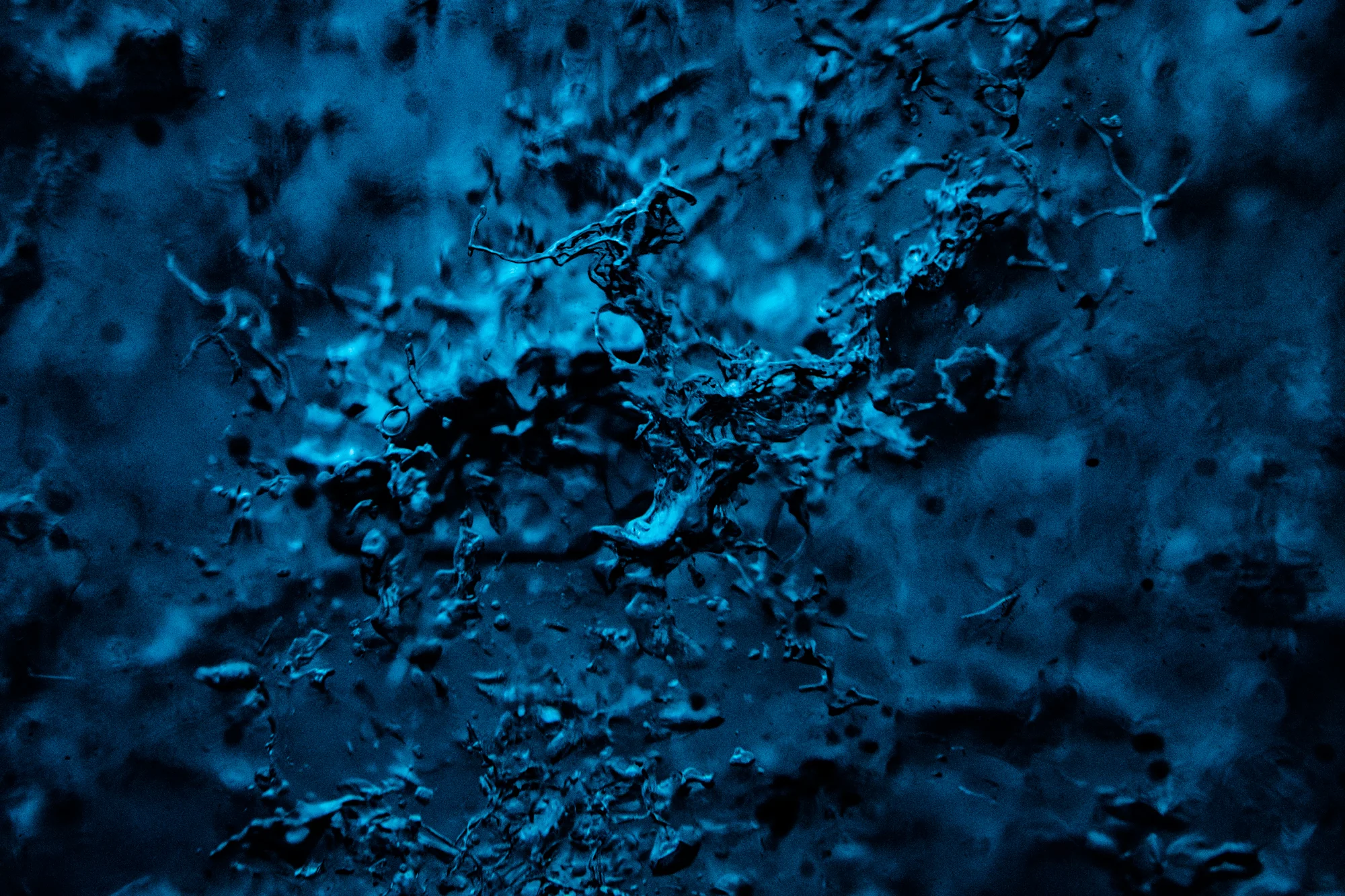 DSC_1296.jpg